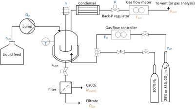 Experimental Investigation of a Continuous Reactor for CO2 Capture and CaCO3 Precipitation